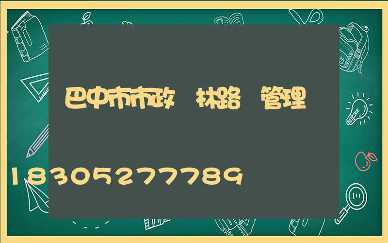 巴中市市政園林路燈管理處處長馬軍
