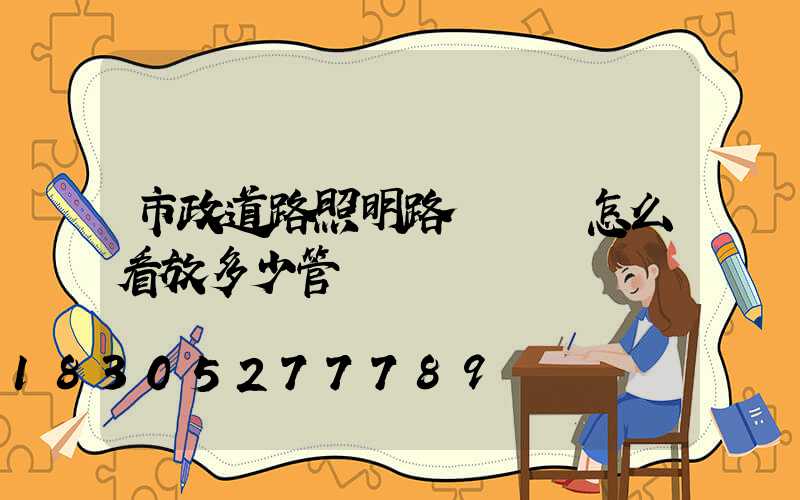 市政道路照明路燈圖紙怎么看放多少管