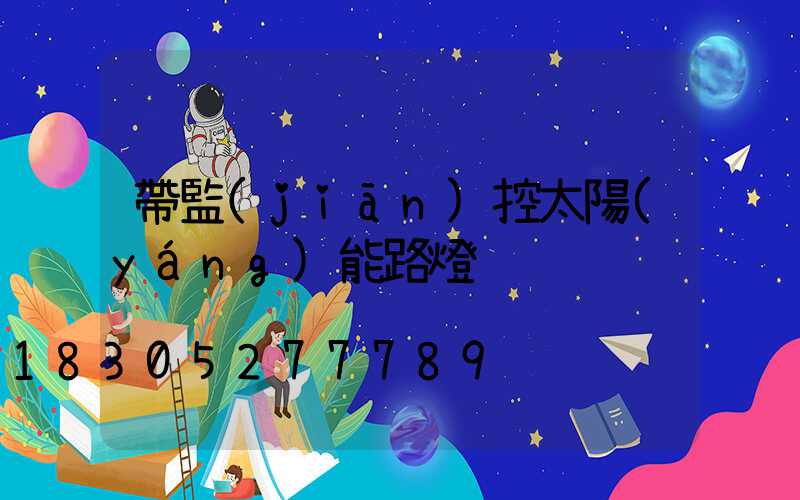 帶監(jiān)控太陽(yáng)能路燈