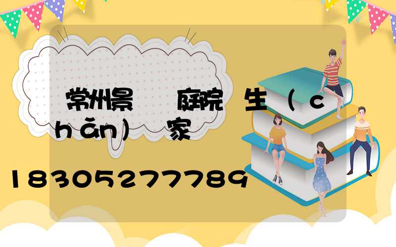 常州景觀燈庭院燈生產(chǎn)廠家