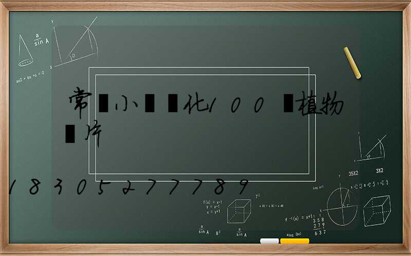 常見小區綠化100種植物圖片