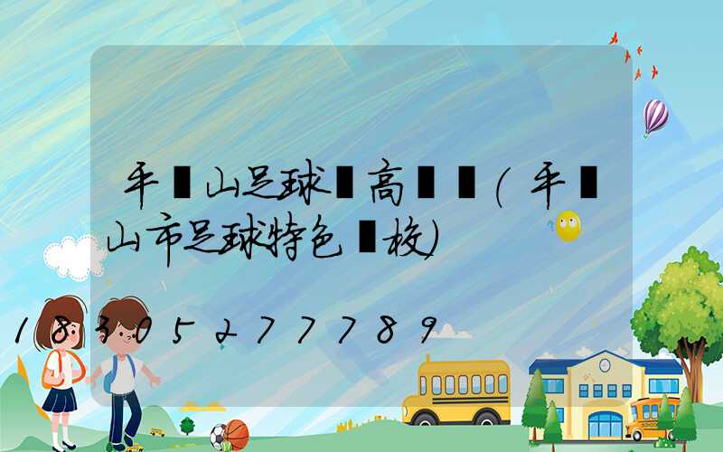 平頂山足球場高桿燈(平頂山市足球特色學校)