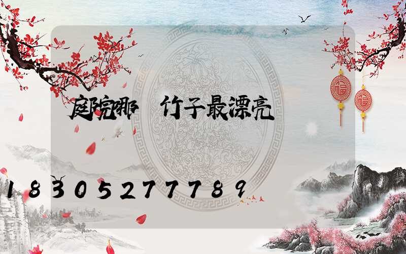 庭院哪種竹子最漂亮