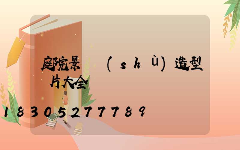 庭院景觀樹(shù)造型圖片大全