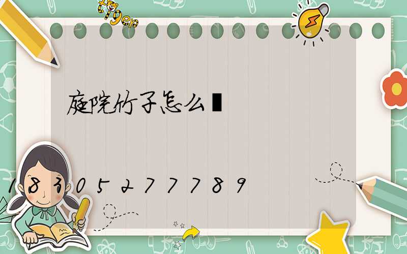 庭院竹子怎么養