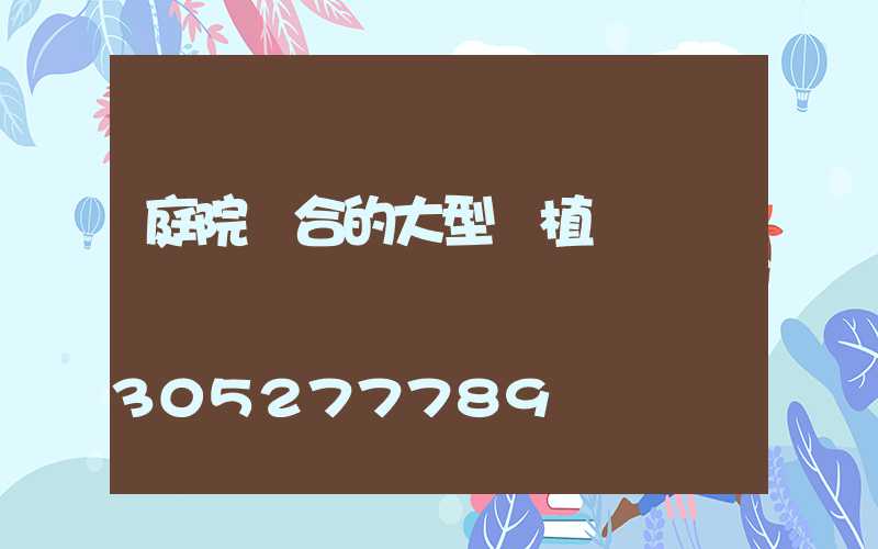 庭院適合的大型綠植