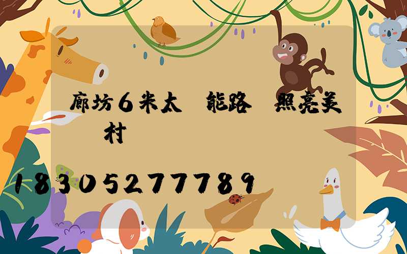 廊坊6米太陽能路燈照亮美麗鄉村