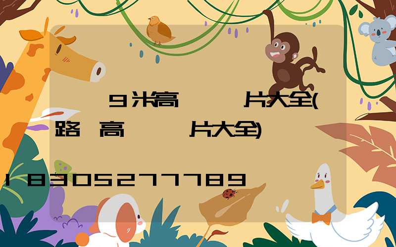 廣場9米高桿燈圖片大全(路燈高桿燈圖片大全)