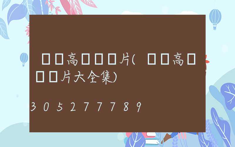 廣場高桿燈圖片(廣場高桿燈圖片大全集)