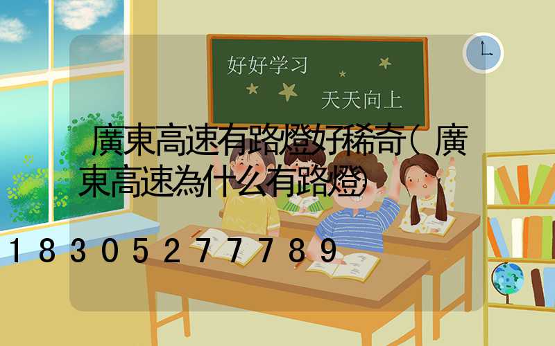 廣東高速有路燈好稀奇(廣東高速為什么有路燈)