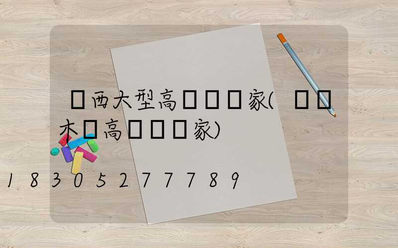 廣西大型高桿燈廠家(烏魯木齊高桿燈廠家)