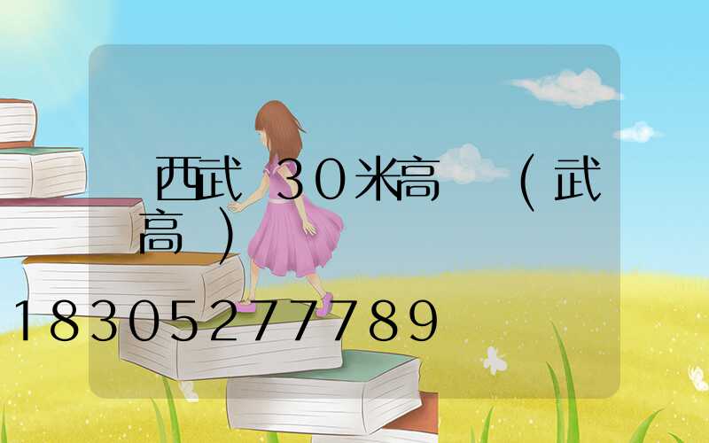 廣西武鳴30米高桿燈(武鳴高樓)