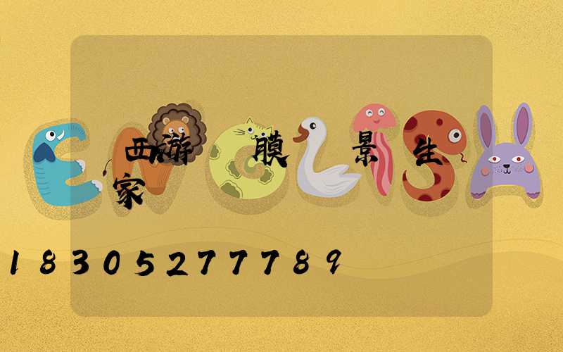 廣西游樂園膜結構景觀生產廠家