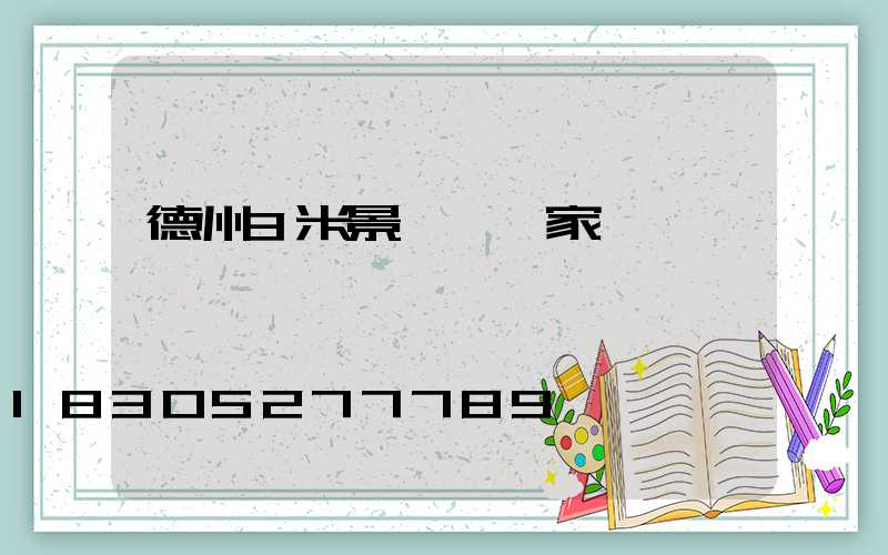 德州3米景觀燈廠家