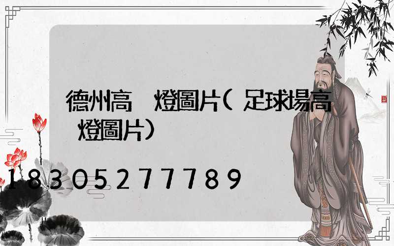 德州高桿燈圖片(足球場高桿燈圖片)