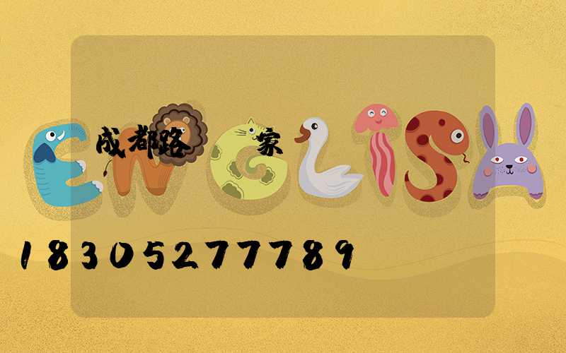 成都路燈廠家蔣廠長