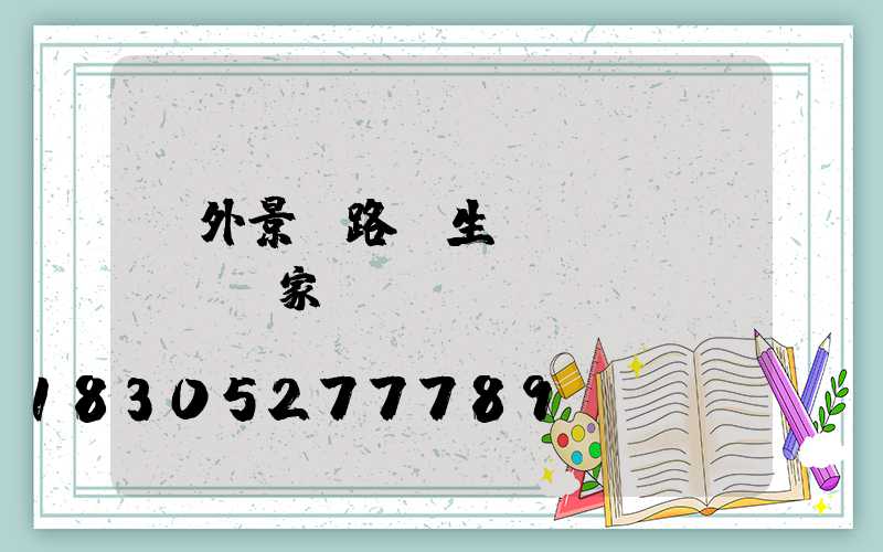 戶外景觀路燈生產(chǎn)廠家