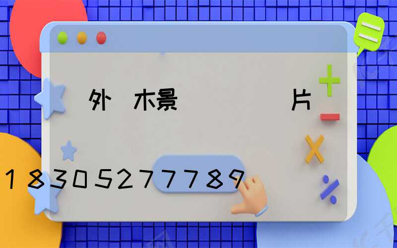 戶外樹木景觀裝飾燈圖片