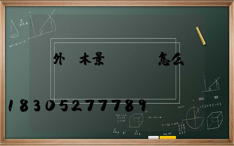 戶外樹木景觀裝飾燈怎么纏