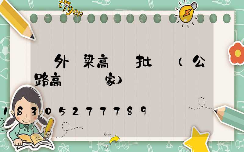 戶外橋梁高桿燈批發廠(公路高桿燈廠家)