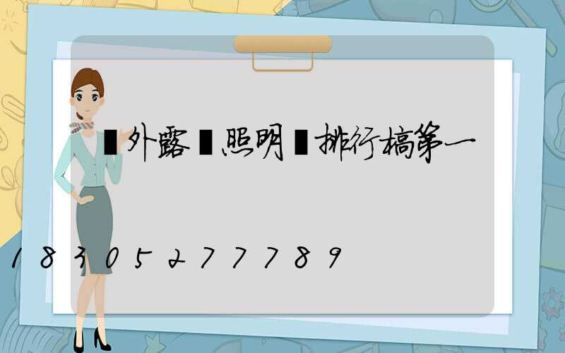 戶外露營照明燈排行榜第一