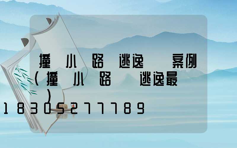 撞壞小區路燈逃逸處罰案例(撞壞小區路燈桿逃逸最輕處罰)