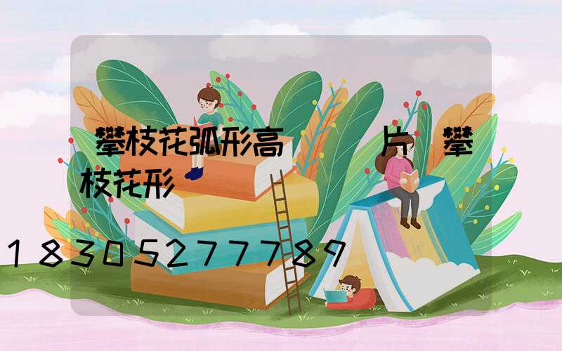 攀枝花弧形高桿燈圖片(攀枝花形狀)