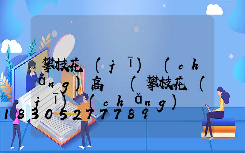 攀枝花機(jī)場(chǎng)高桿燈(攀枝花機(jī)場(chǎng)電話)