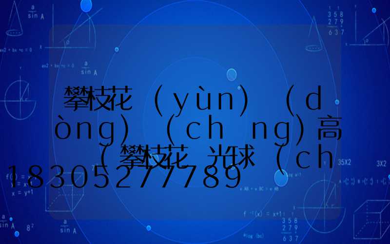攀枝花運(yùn)動(dòng)場(chǎng)高桿燈(攀枝花燈光球場(chǎng))