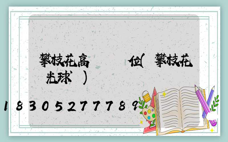 攀枝花高桿燈價位(攀枝花燈光球場)