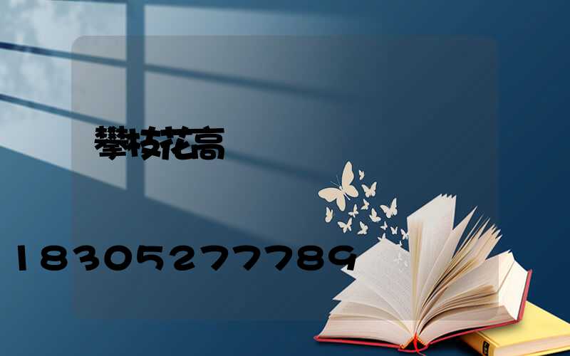 攀枝花高桿燈報價單