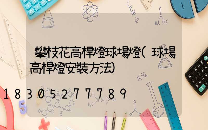 攀枝花高桿燈球場燈(球場高桿燈安裝方法)