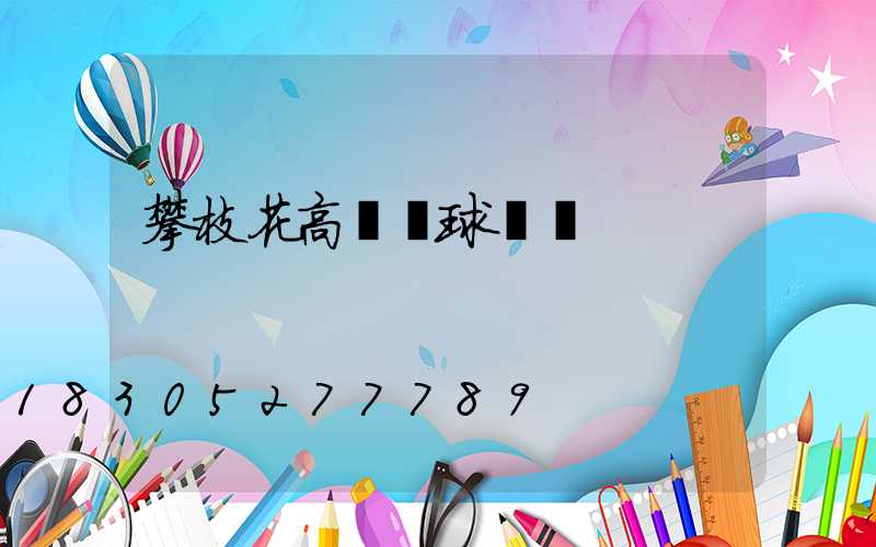 攀枝花高桿燈球場燈