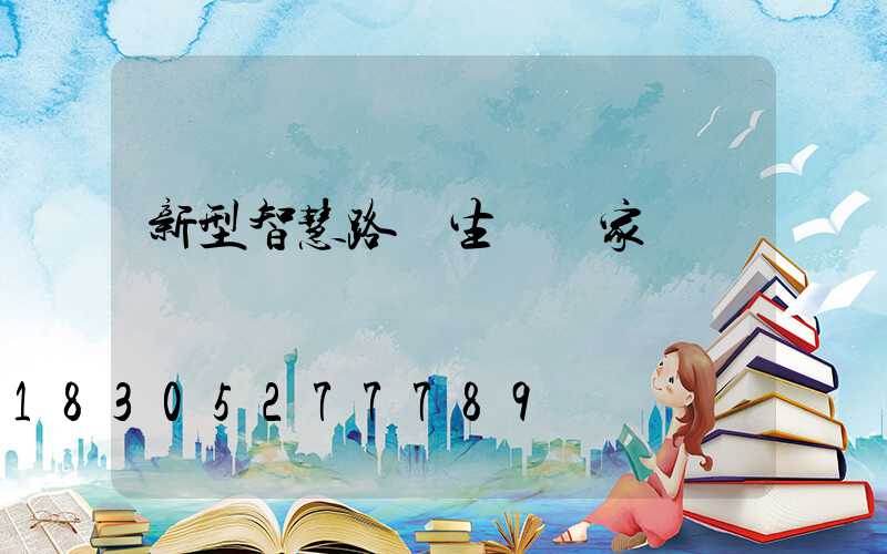 新型智慧路燈生產廠家