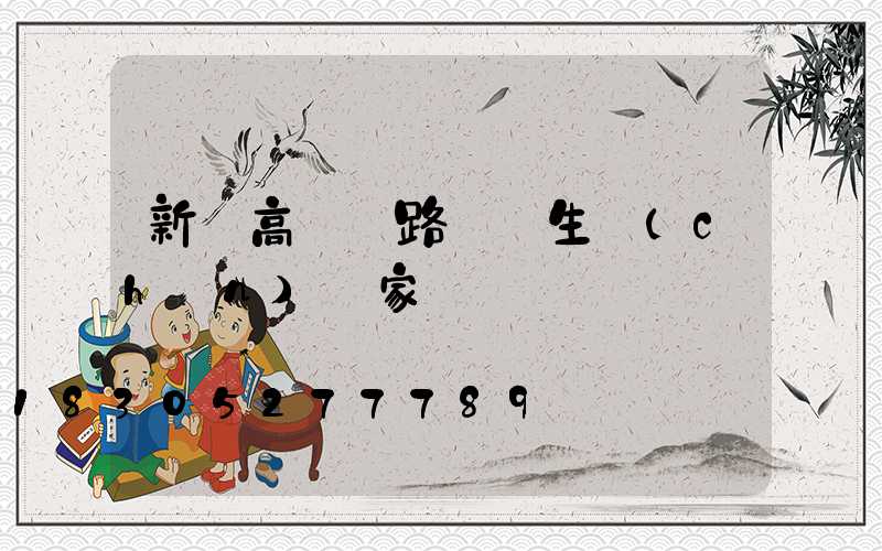 新樂高桿燈路燈桿生產(chǎn)廠家