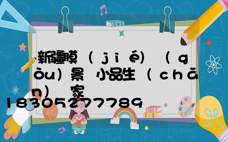 新疆膜結(jié)構(gòu)景觀小品生產(chǎn)廠家