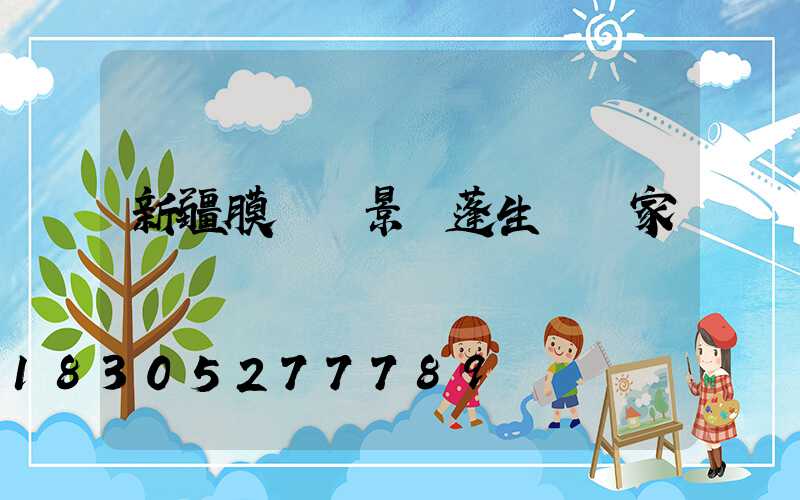 新疆膜結構景觀蓬生產廠家