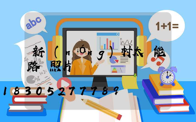 新農(nóng)村太陽能路燈照片