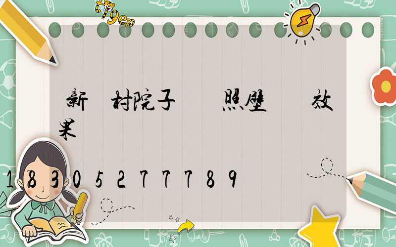 新農村院子簡單照壁設計效果圖