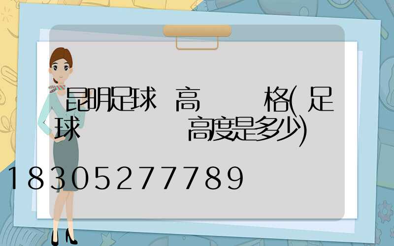 昆明足球場高桿燈價格(足球場燈桿標準高度是多少)