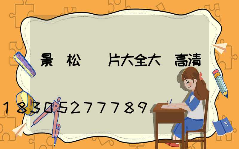 景觀松樹圖片大全大圖高清