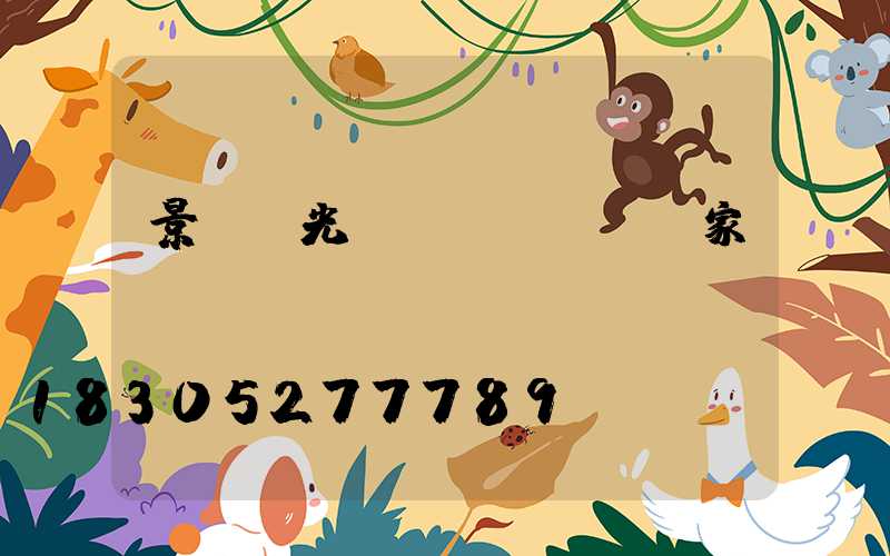 景觀燈光護(hù)欄廠家電話