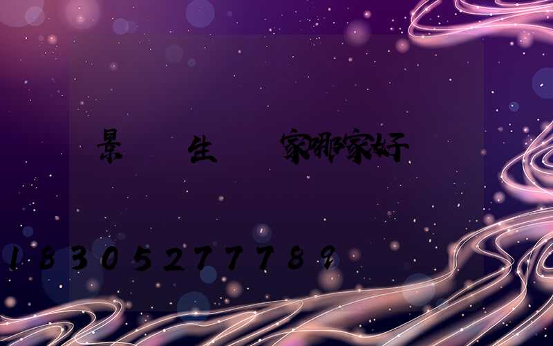 景觀燈生產廠家哪家好