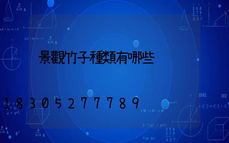 景觀竹子種類有哪些