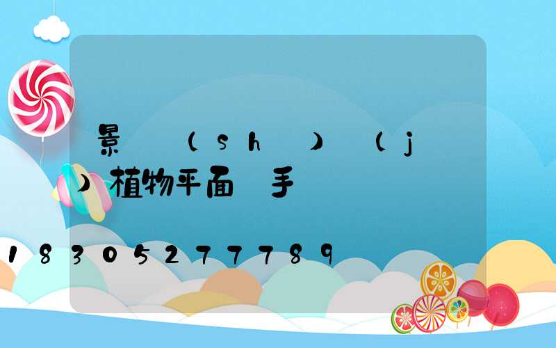 景觀設(shè)計(jì)植物平面圖手繪簡單