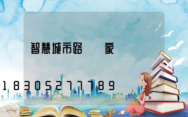 智慧城市路燈廠家