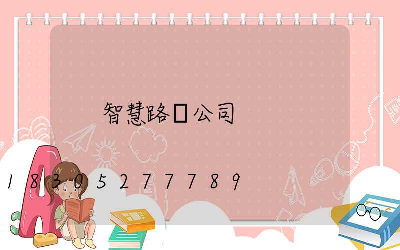 智慧路燈公司