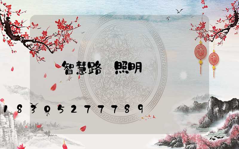 智慧路燈照明