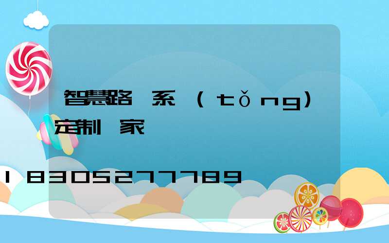智慧路燈系統(tǒng)定制廠家