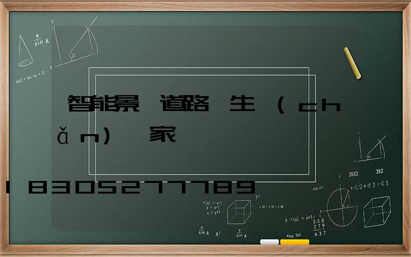 智能景觀道路燈生產(chǎn)廠家